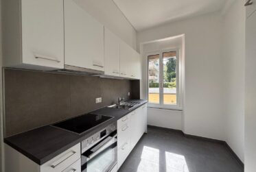 Charmant 3 pièces rénové à la Nelkenstrasse 4, Bienne