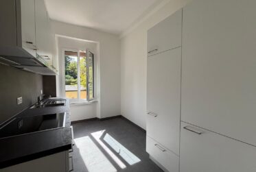 Charmant 3 pièces rénové à la Nelkenstrasse 4, Bienne