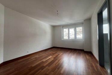 4.5 pièces rénové à louer aux Hauts-Geneveys – Offre exclusive : 1 mois offert