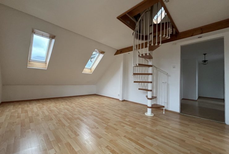 Duplex rénové - 3,5 pièces