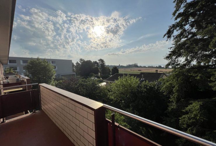 Appartement de 3 pièces avec balcon et vue sur le lac - Chapons-des-Prés 6