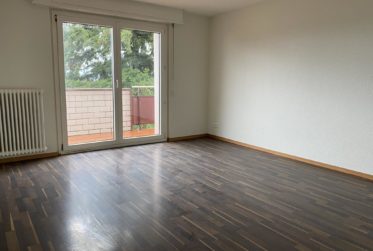 Appartement de 3 pièces avec balcon et vue sur le lac - Chapons-des-Prés 6