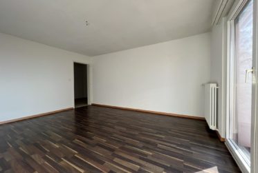 Appartement de 3 pièces avec balcon et vue sur le lac - Chapons-des-Prés 6