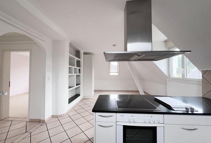 Maison de 3 appartements