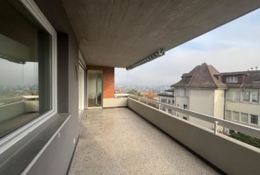 Spacieux appartement familial à louer