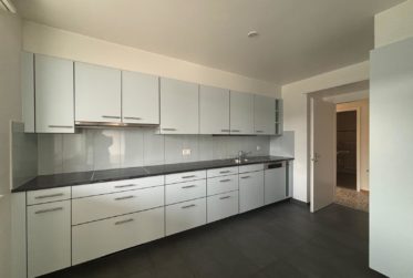 Spacieux appartement familial à louer