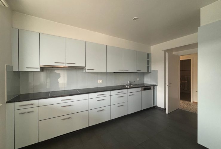 Spacieux appartement familial à louer