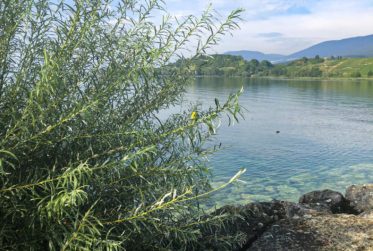 Charme et authenticité à deux pas du lac