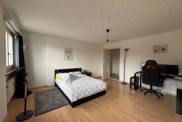 Appartement de 3,5 pièces en duplex