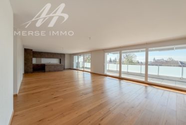 Attique lumineux avec grande terrasse et vue dégagée