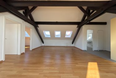 Appartement de 3 pièces dans les combles