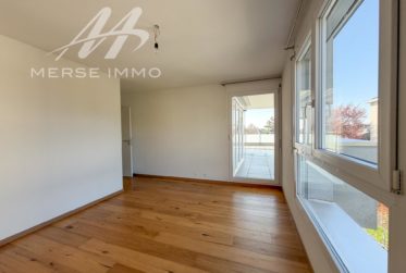 Attique lumineux avec grande terrasse et vue dégagée