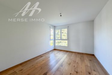 Attique lumineux avec grande terrasse et vue dégagée