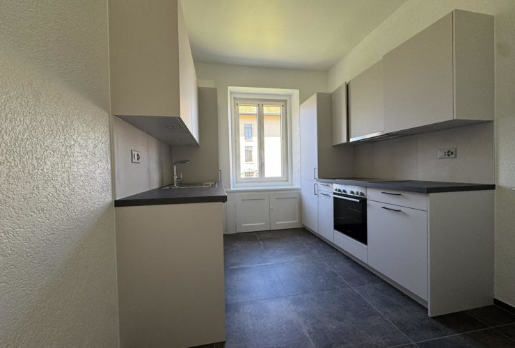 Superbe 4.5 pièces rénové avec parquet en chevrons – 1er loyer offert