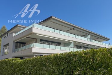 Attique lumineux avec grande terrasse et vue dégagée