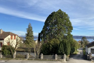 Grand appartement de 3.5 pièces avec balcon