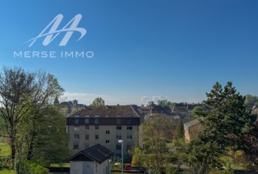 Attique lumineux avec grande terrasse et vue dégagée