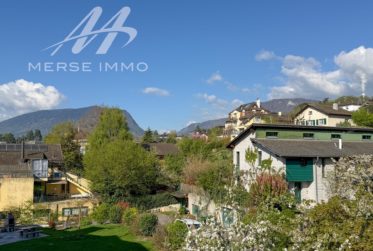 Attique lumineux avec grande terrasse et vue dégagée