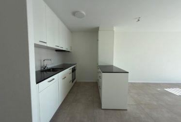 Bel appartement de 3 pièces rénové