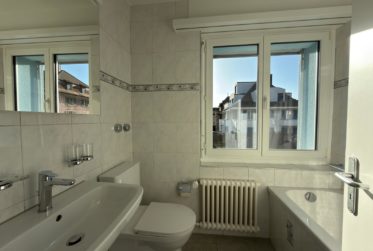 Appartement de 4.5 pièces avec terrasse